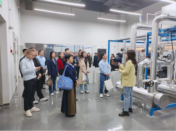 1734166092240029146.png 1734166087119.png