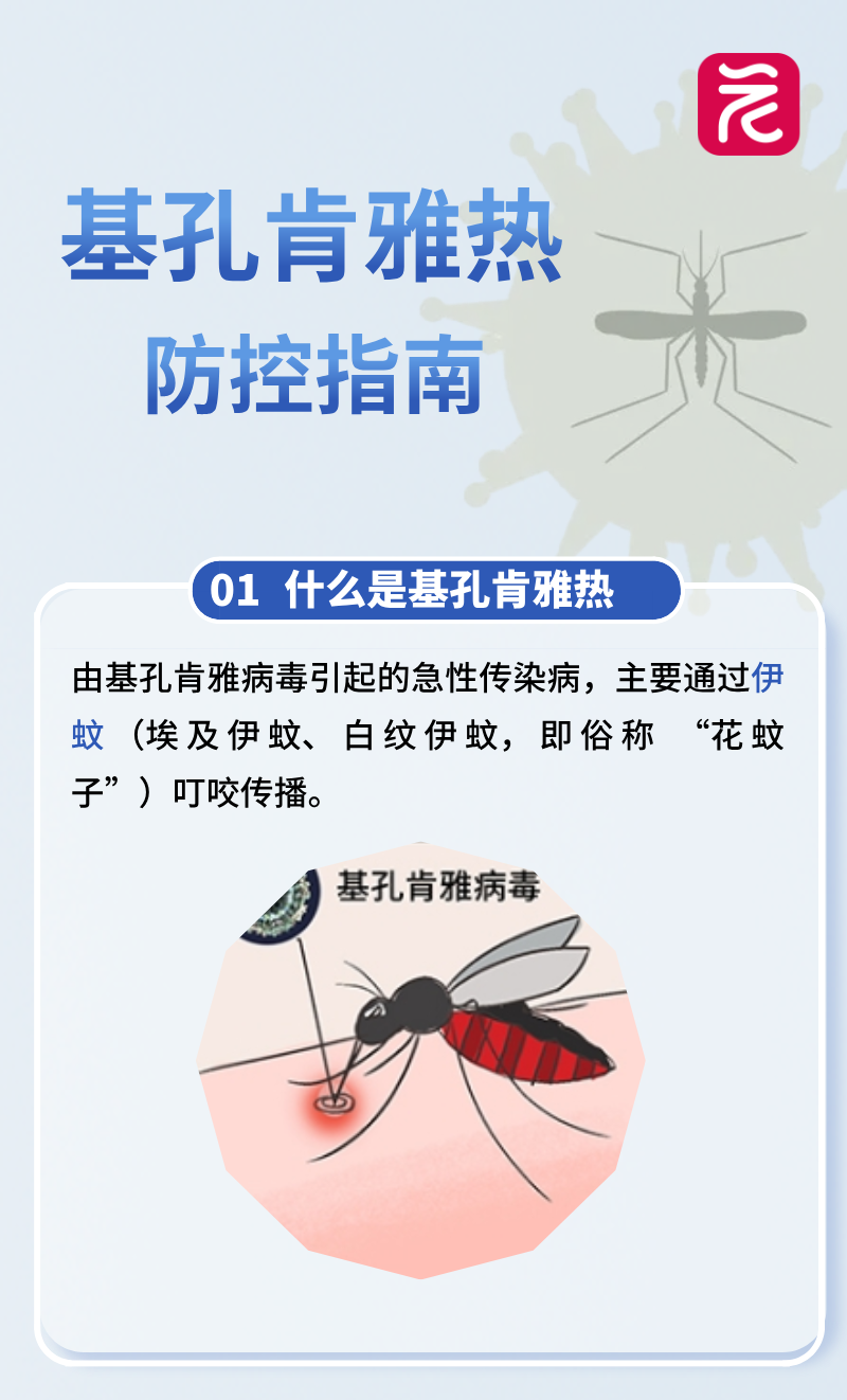 3a92f3f2a47411105886509b1bb27370.png